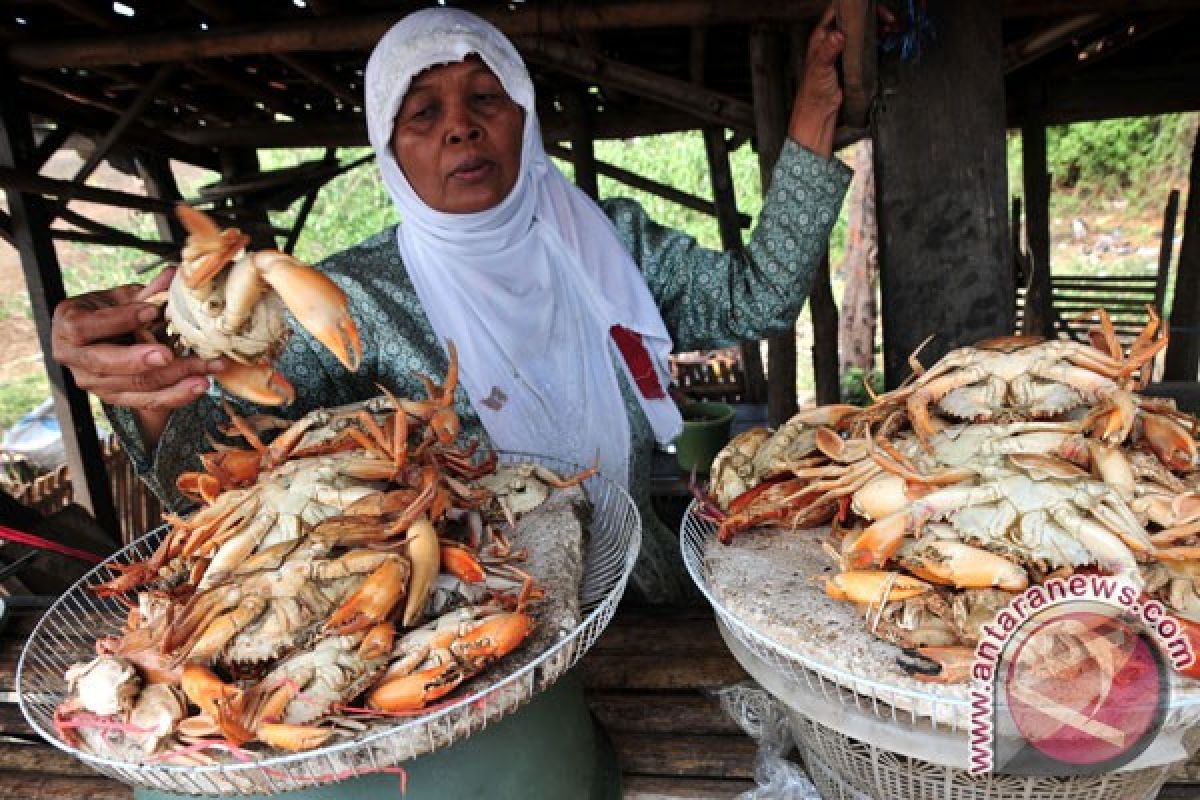 Rajungan terbaik di Indonesia di Selat Tiworo dikelola secara lestari
