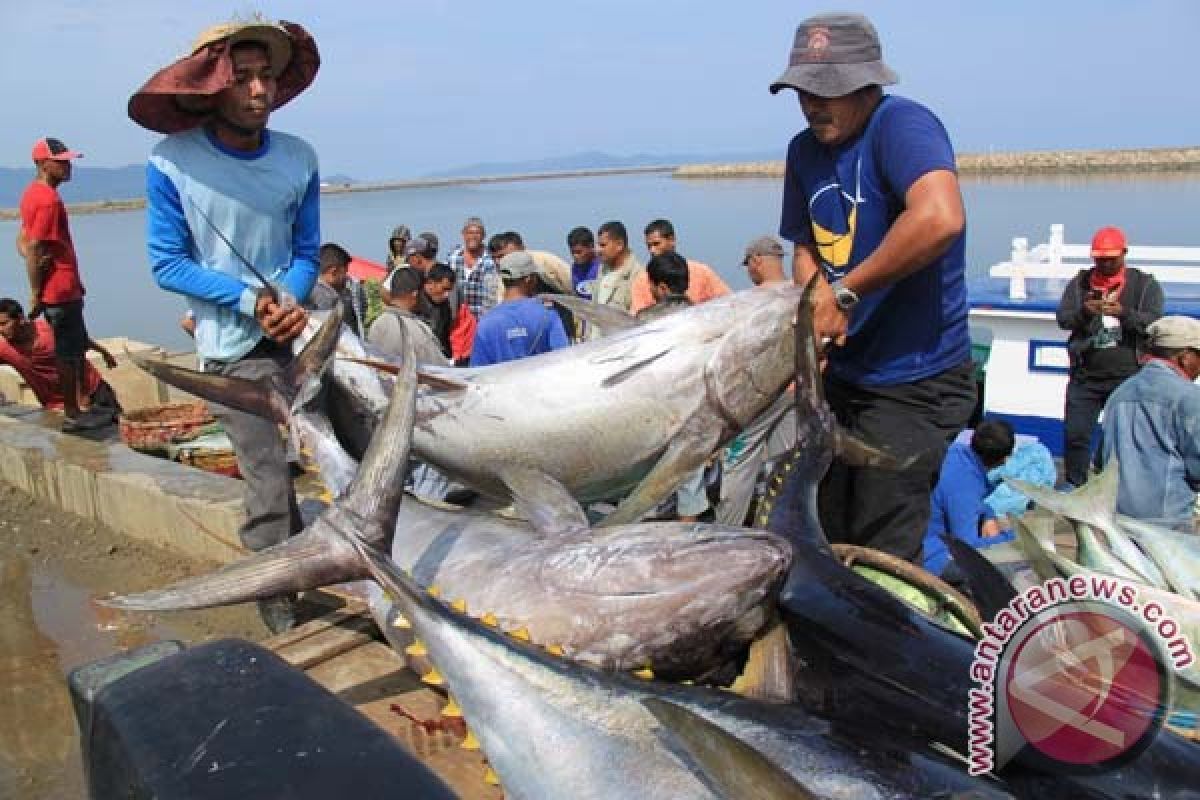 Konferensi tuna Eropa apresiasi langkah tegas Indonesia