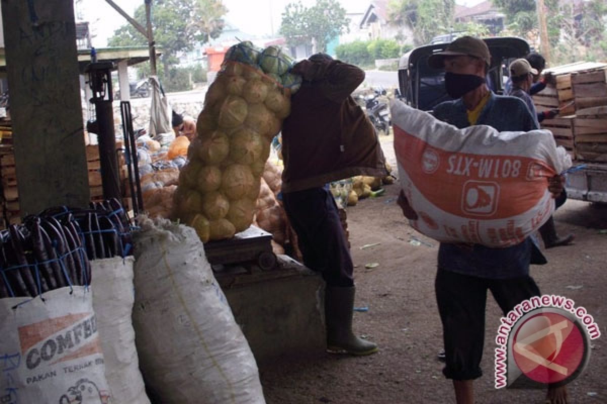 Harga aneka sayuran di Rejanglebong anjlok