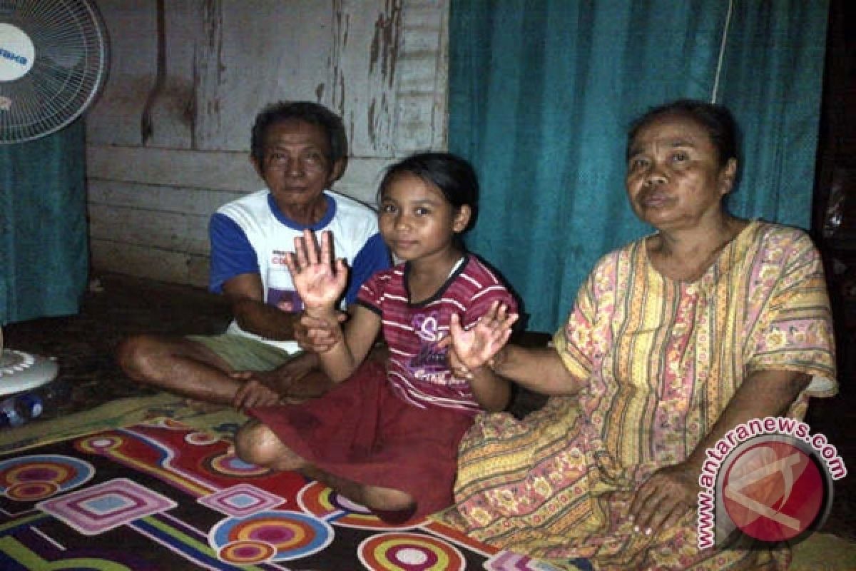 Dokter : Masyarakat Indonesia rentan terkena gagal ginjal