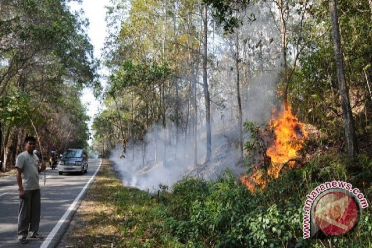  Langkah Kongkrit Penanggulangan Bencana Asap