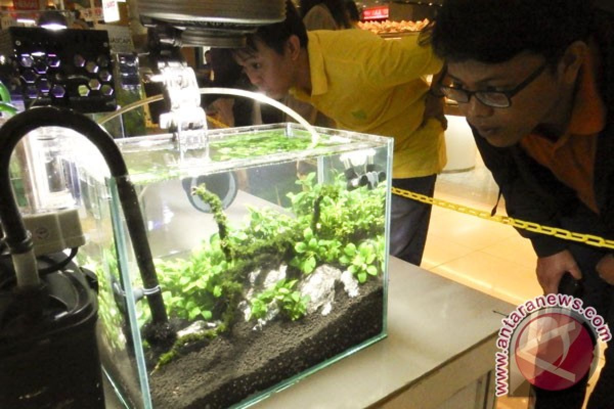 Memperindah kebun dalam air dengan aquascape