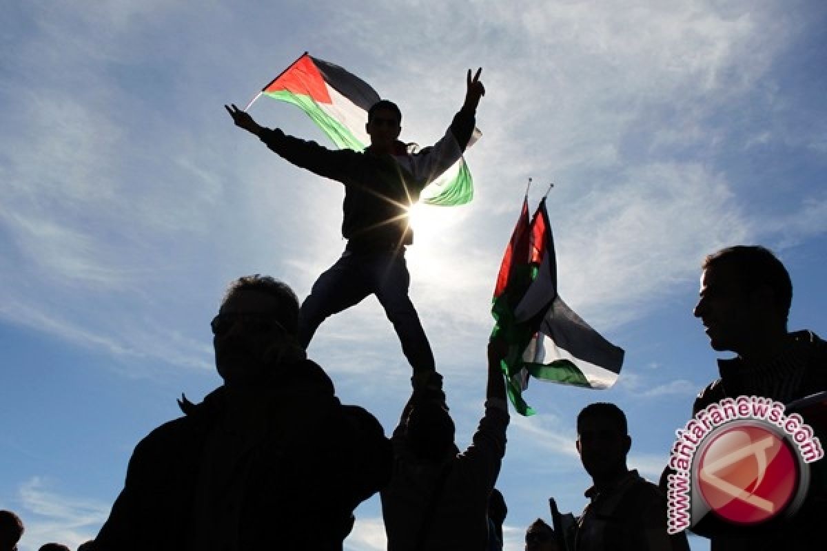 Senat Irlandia Serukan Pengakuan Negara Palestina