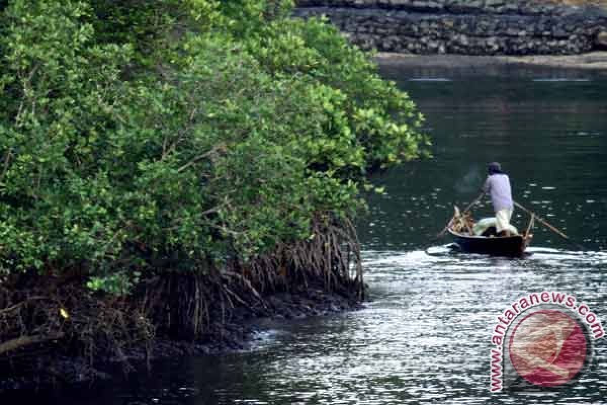 Mangrove Center dirambah hingga 2 hektare