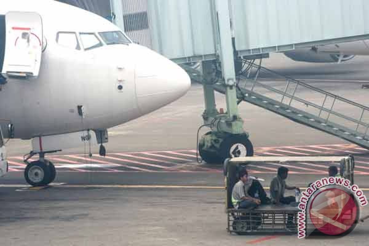 Maskapai asing keluhkan satwa ilegal lolos bandara
