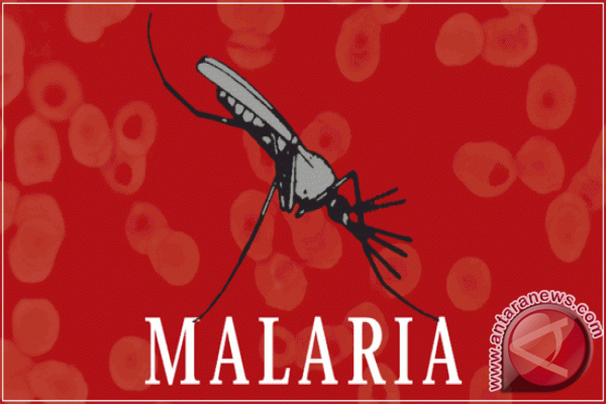 Pasien terinfeksi malaria monyet mulai sembuh