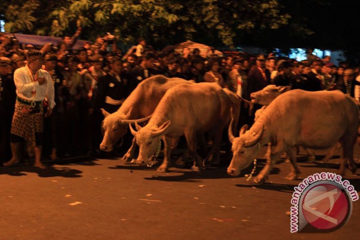 Kirab malem Sura tetap lewat Alun-alun Utara