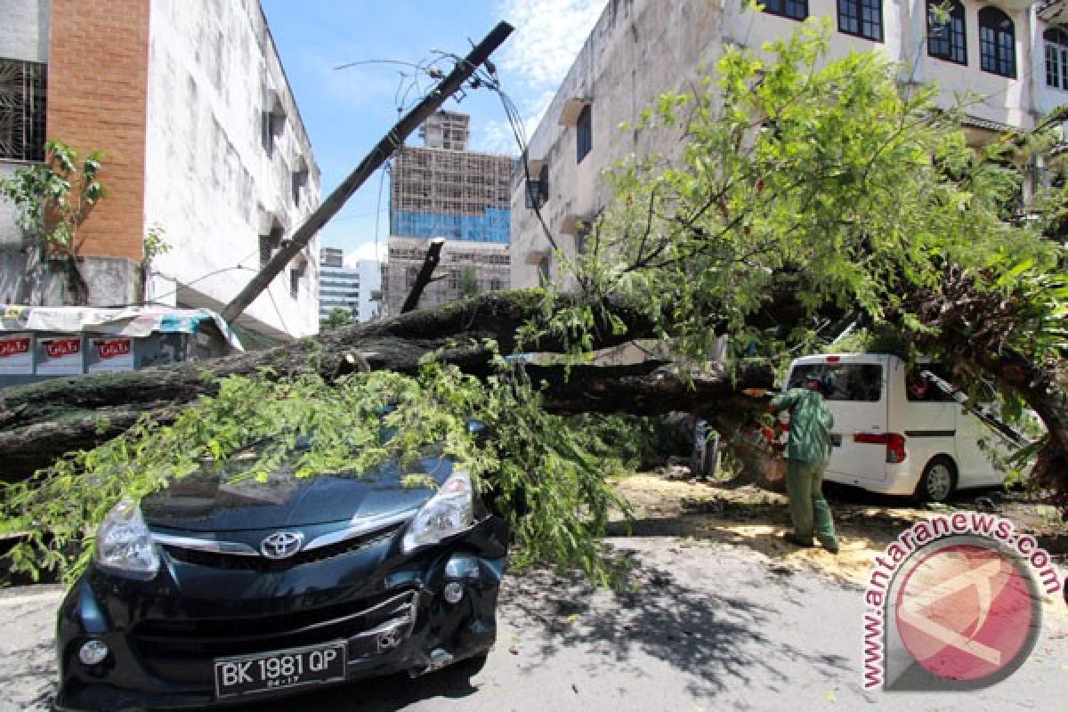 Pohon tumbang timpa tiga mobil di Padang