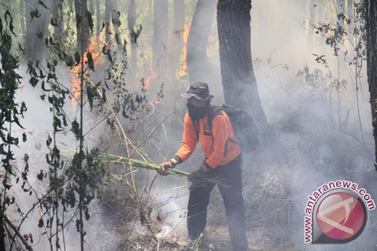 Api unggun jadi penyebab kebakaran di Gunung Semeru