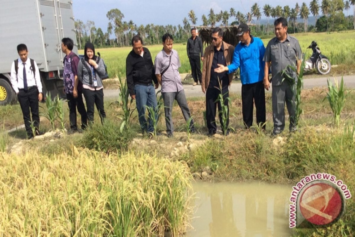 Gubernur: Produksi Pangan Tidak Capai Target 