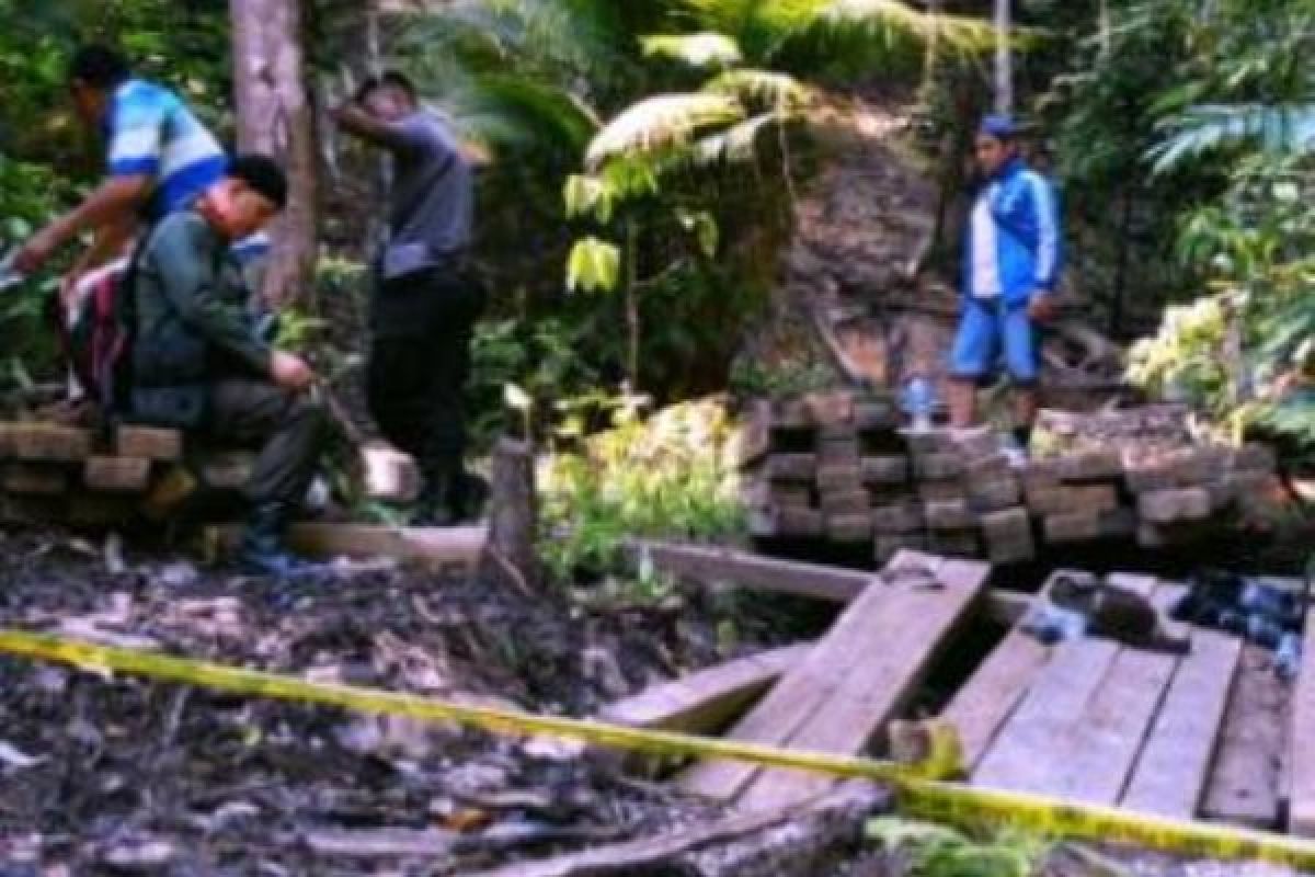 Polhut dan Polres Landak Periksa Kayu Hasil Pembalakan Liar 