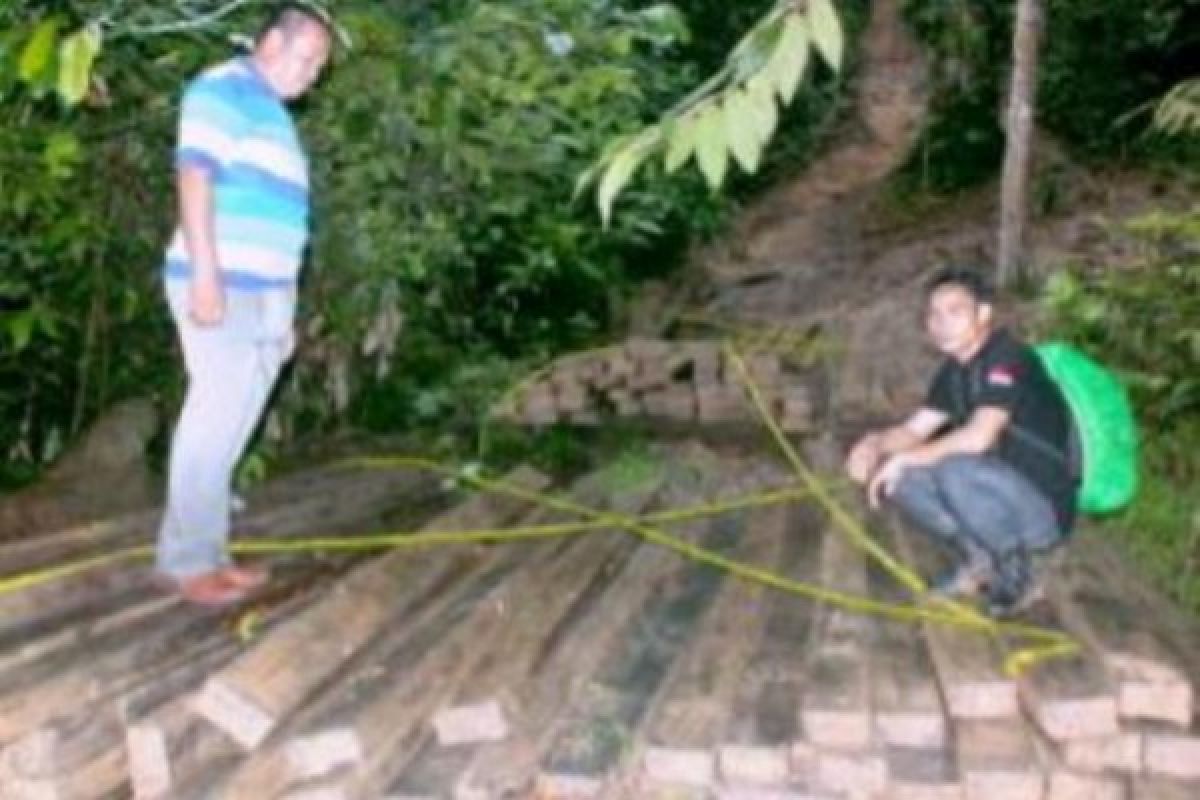 Kasus Pembalakan Hutan Gunung Pejapak Tetap Diproses