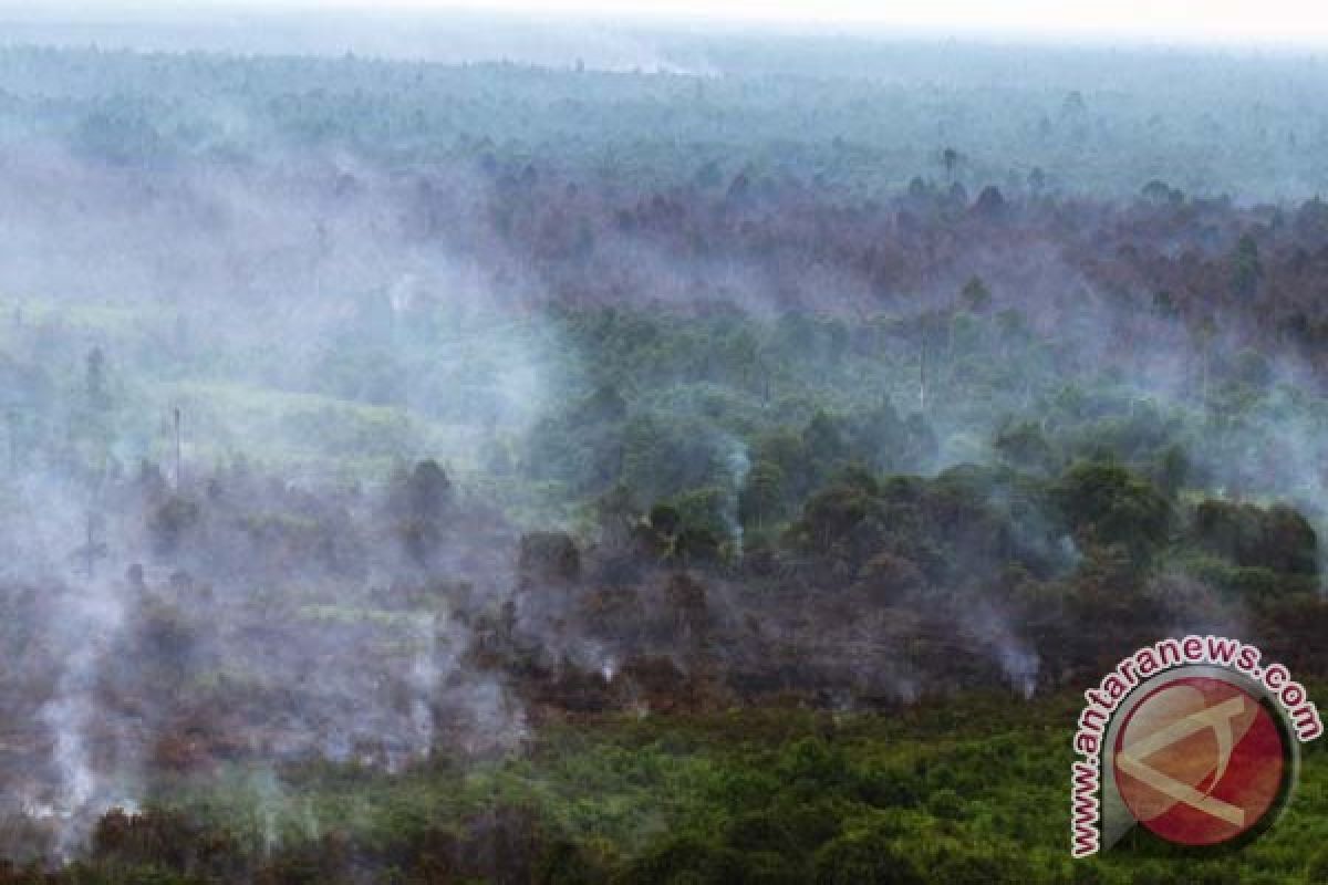 Haze resurfaces in various areas across kalimantan, sumatra