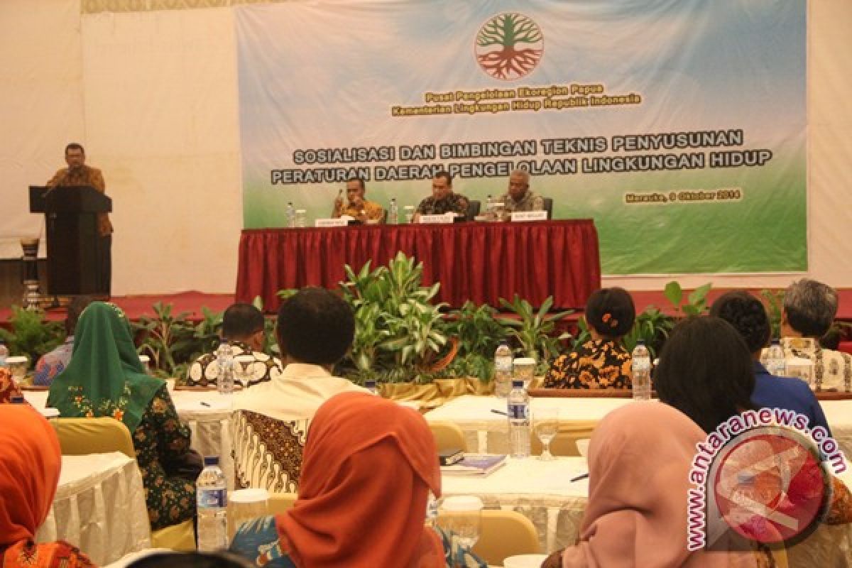 Kementerian LH tingkatkan pemahaman peraturan di Tanah Papua