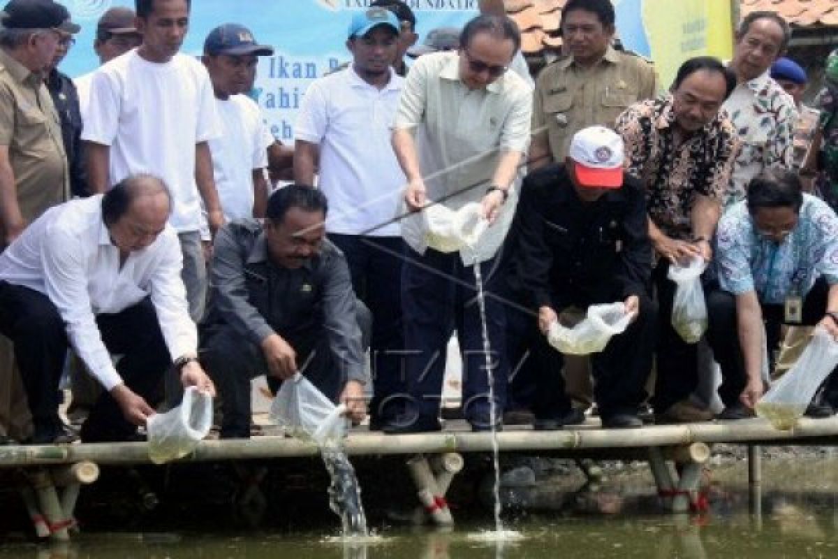 Kebutuhan benih ikan capai 69,7 miliar benih