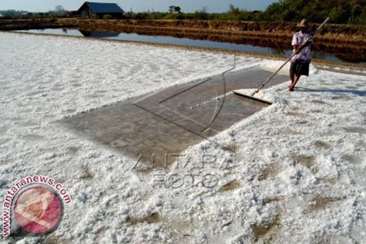 Pemprov Bali Kaji Pemberian Bantuan Peralatan Petani Garam