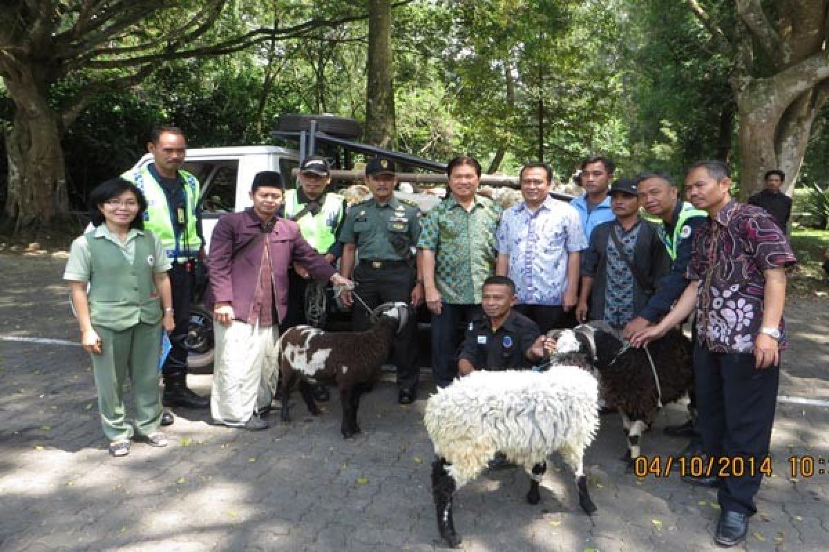 Taman Safari Indonesia sumbang hewan kurban