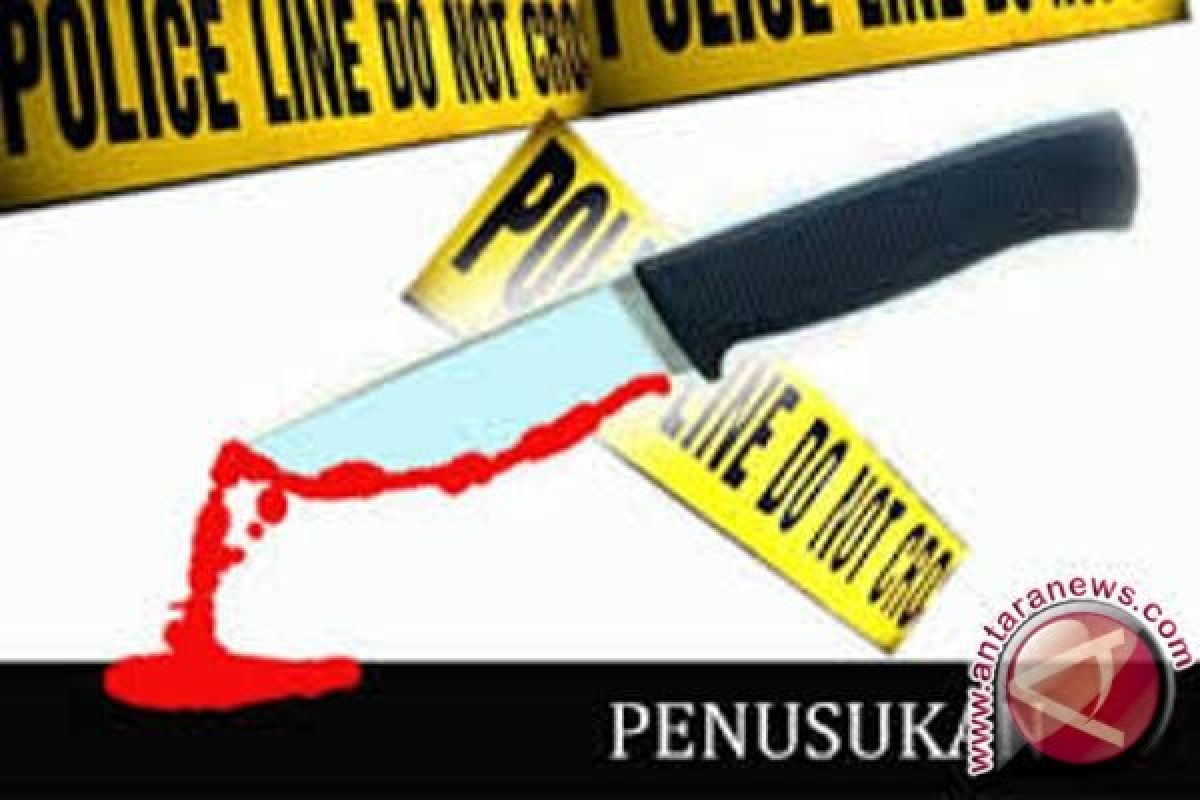 Polisi Pegubin tangkap pelaku penikam warga