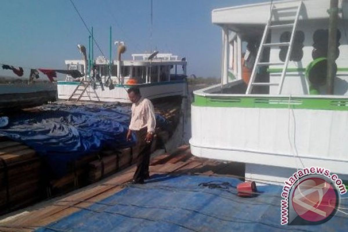 900 Meter Kubik Kayu Terdampar di Lombok