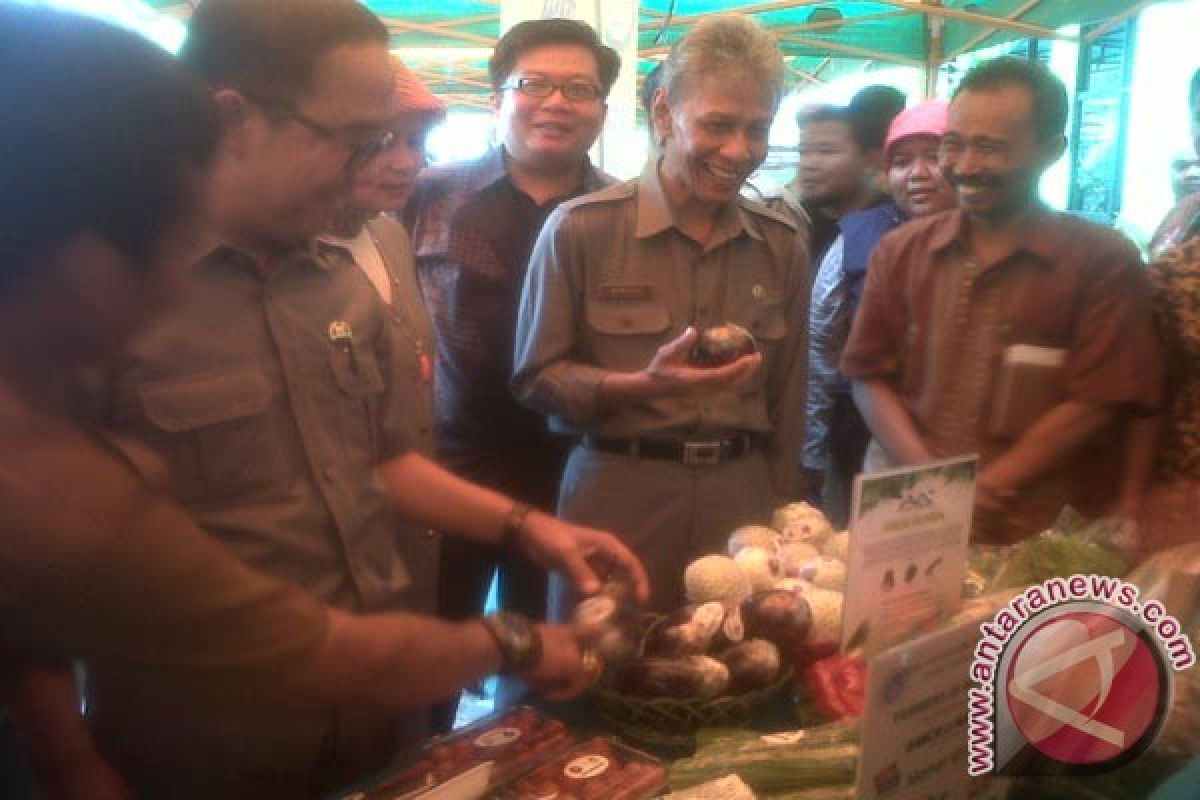 Banten targetkan menjadi daerah penyangga pertanian