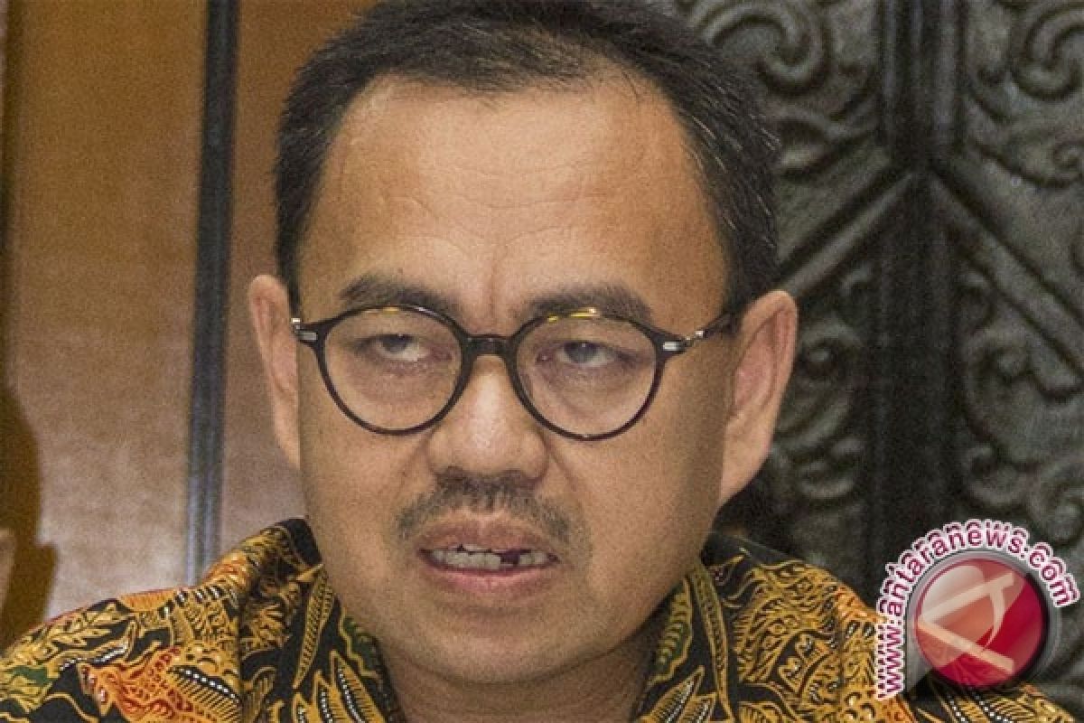 Pemerintah Optimistis Seluruh Indonesia Teraliri Listrik 2020