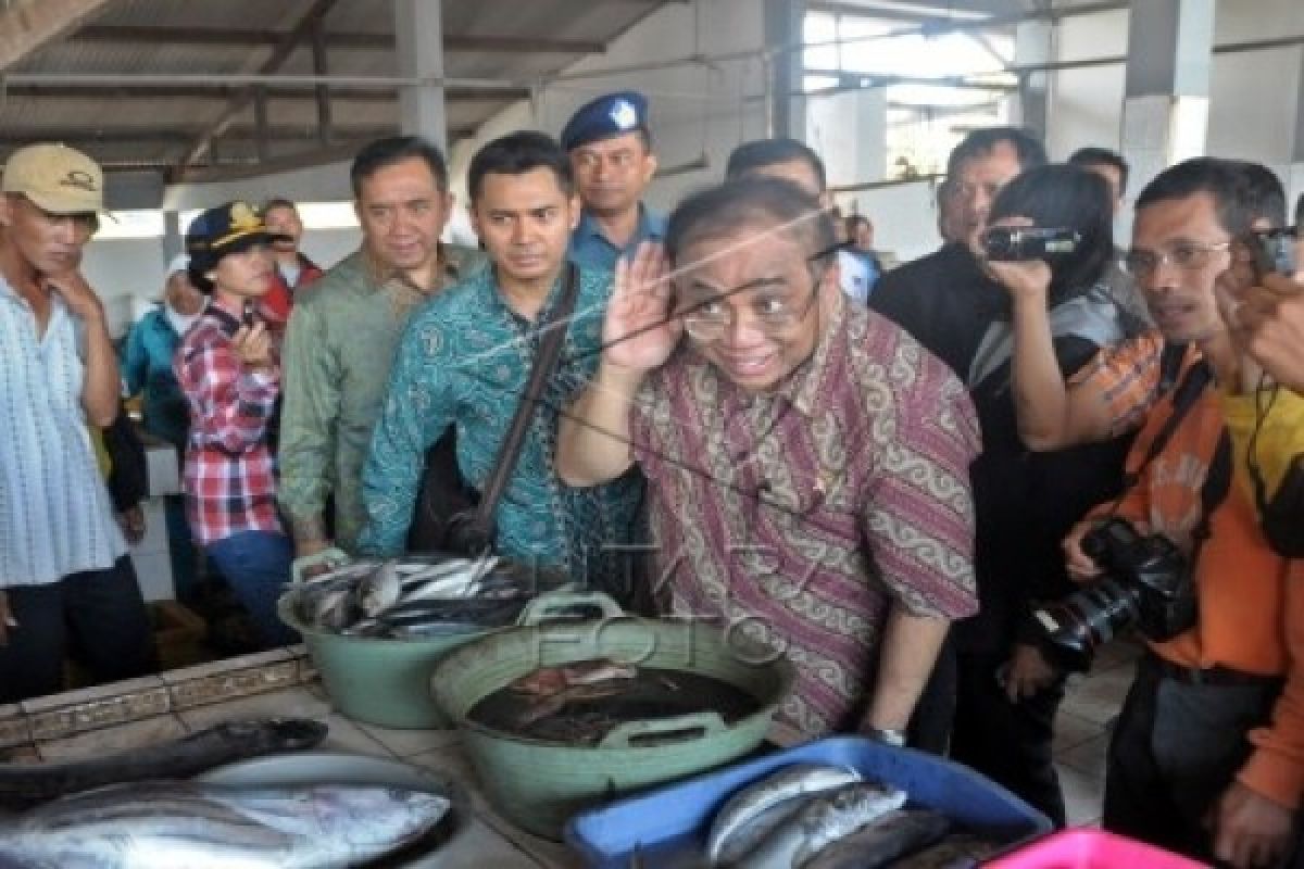 Potensi Ekonomi Maritim Indonesia Sangat Besar Antara News Sulawesi Tenggara Antara News