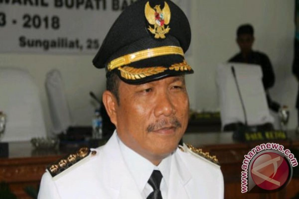 Bupati Bangka Minta DPD Dukung Pemerintah Desa