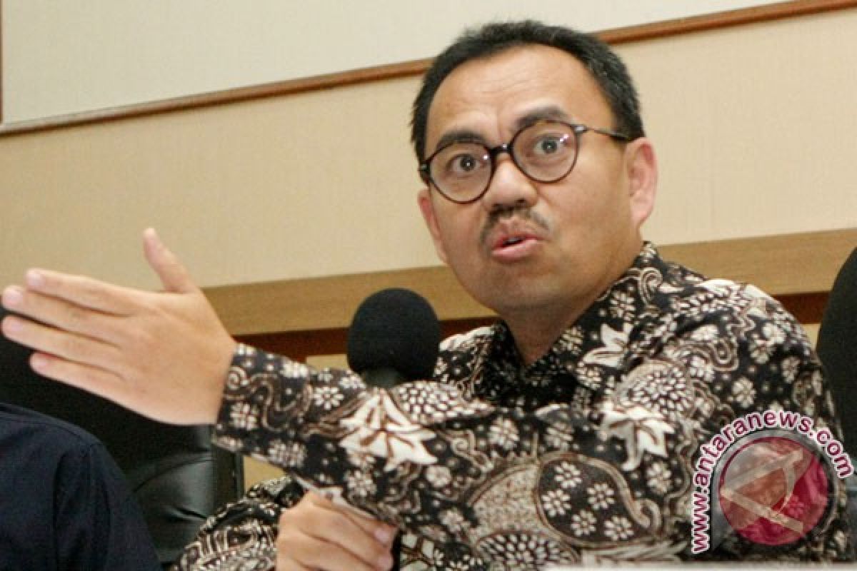 Mahakam block takeover should be quickly realized: Minister Said