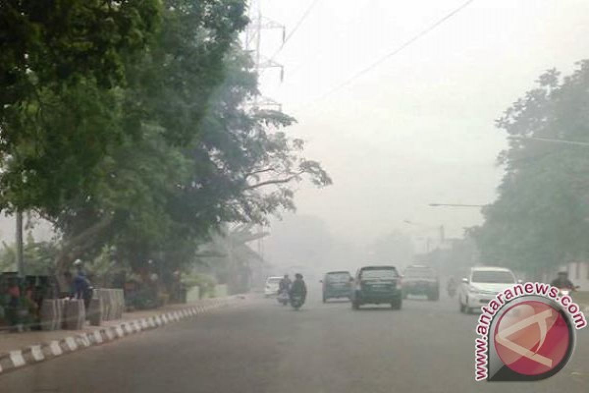 Berharap Sumsel terbebas dari kabut asap 