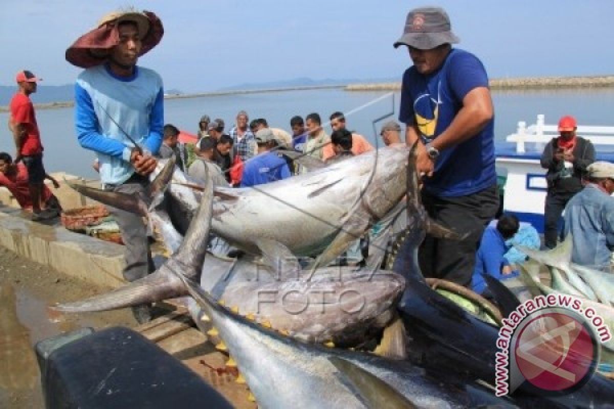 Akibat Cuaca Ekstrim Harga Ikan Gorontalo Naik 