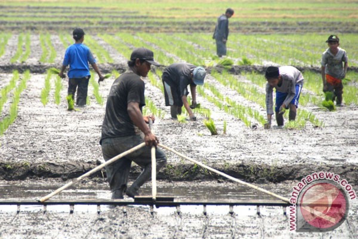 Pesantren miliki potensi kembangkan pertanian terintegrasi