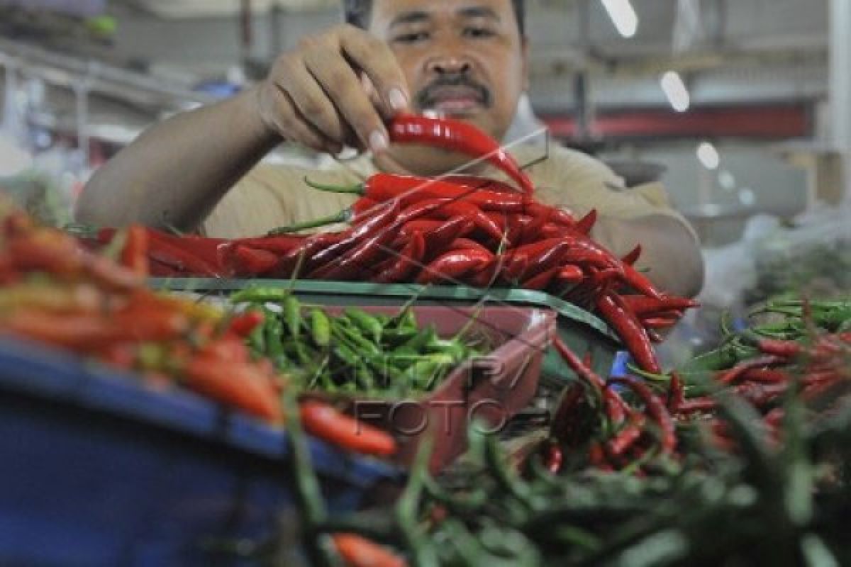 Pasokan Melimpah, Harga Cabai Rawit  Di Sukabumi Turun