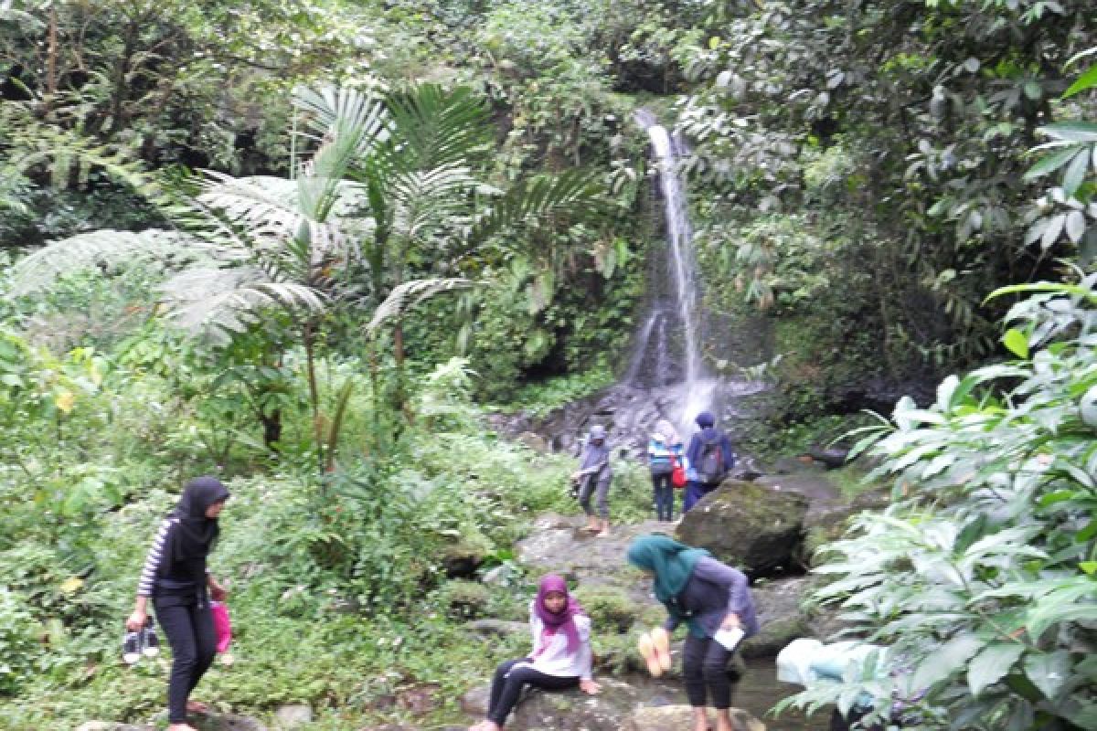 Pendapatan retribusi Kebun Buah Mangunan capai Rp2,2 miliar