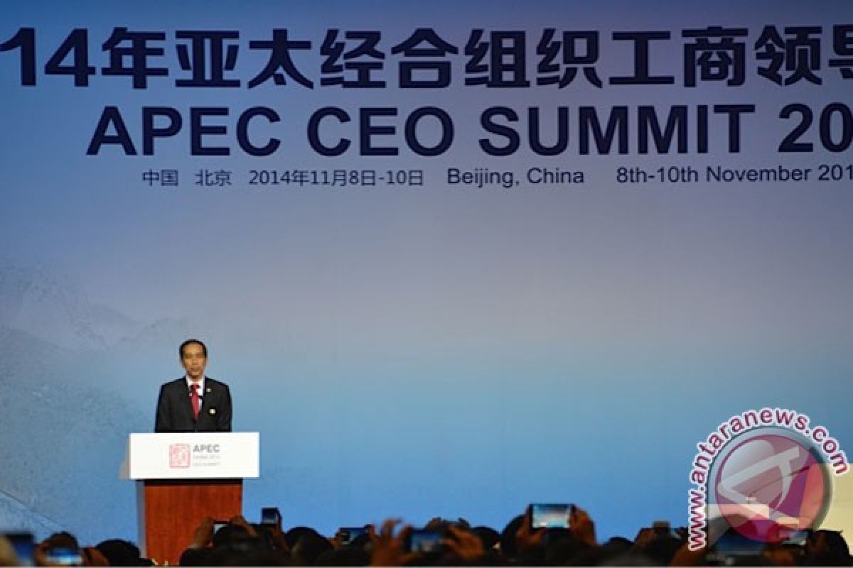 Indonesia offers investment opportunity in APEC`s CEO Forum