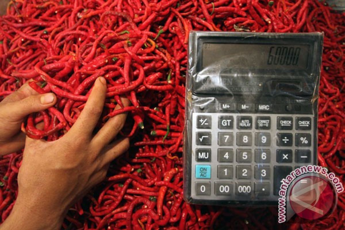 Di sini harga cabai keriting Rp120.000 per kg