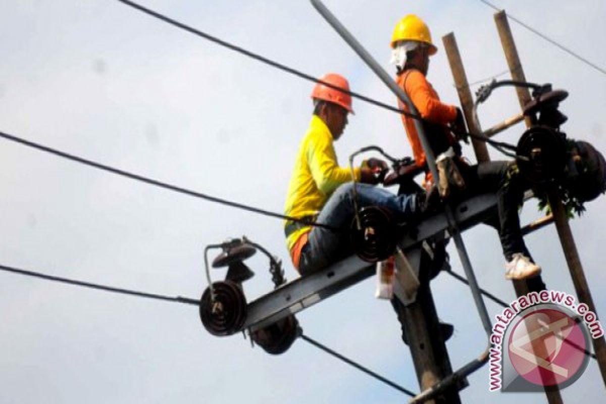 Southeast Aceh fully electrified: PLN