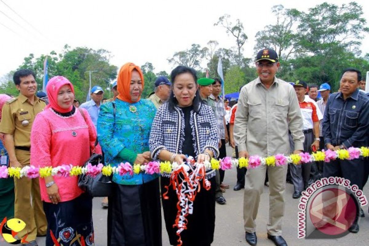 Bupati resmikan jembatan Danunjung