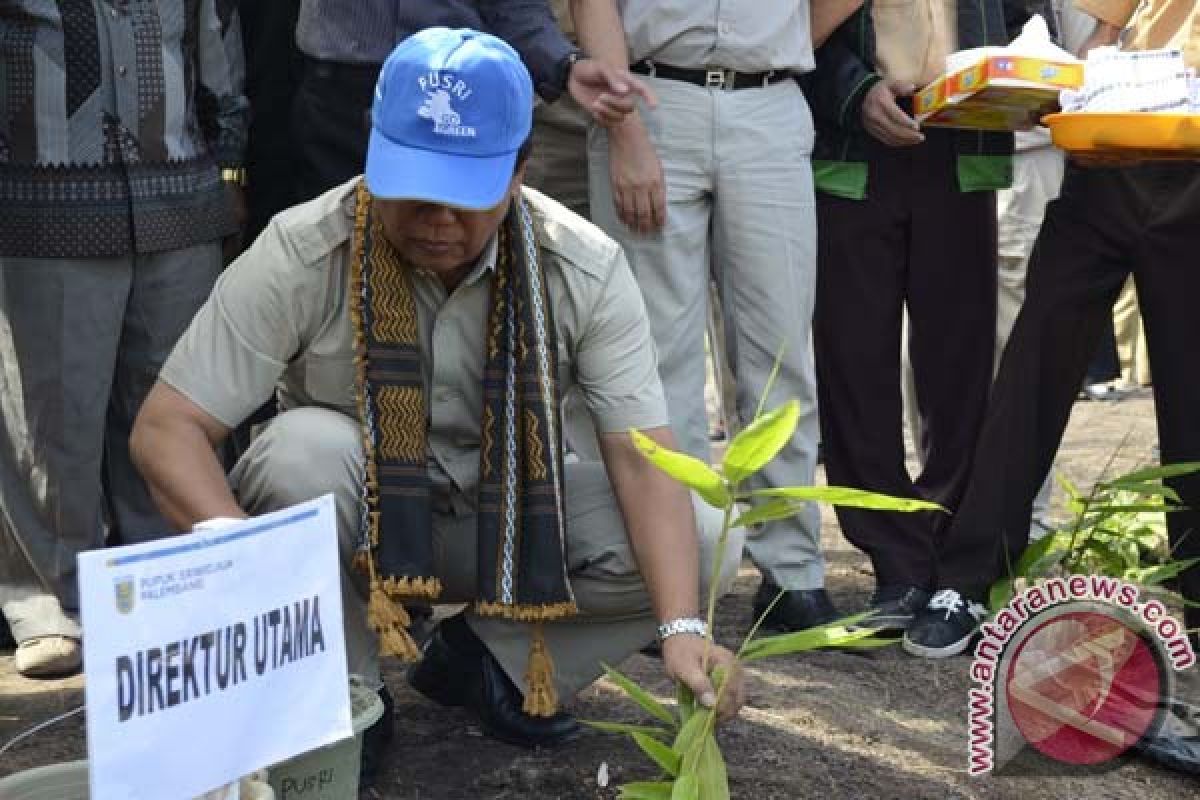 Pusri tanam 1.000 batang bambu penghijauan