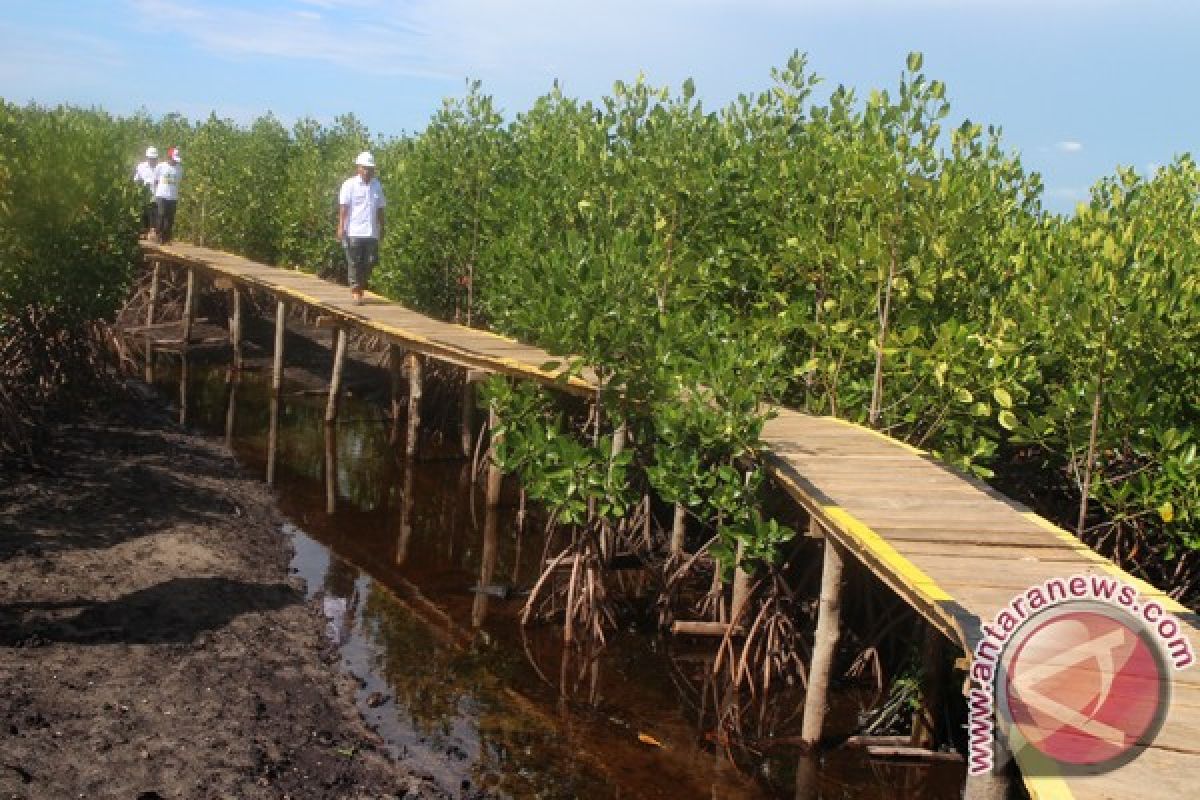 BLH Puji Program Ekowisata Mangrove PT Letawa 