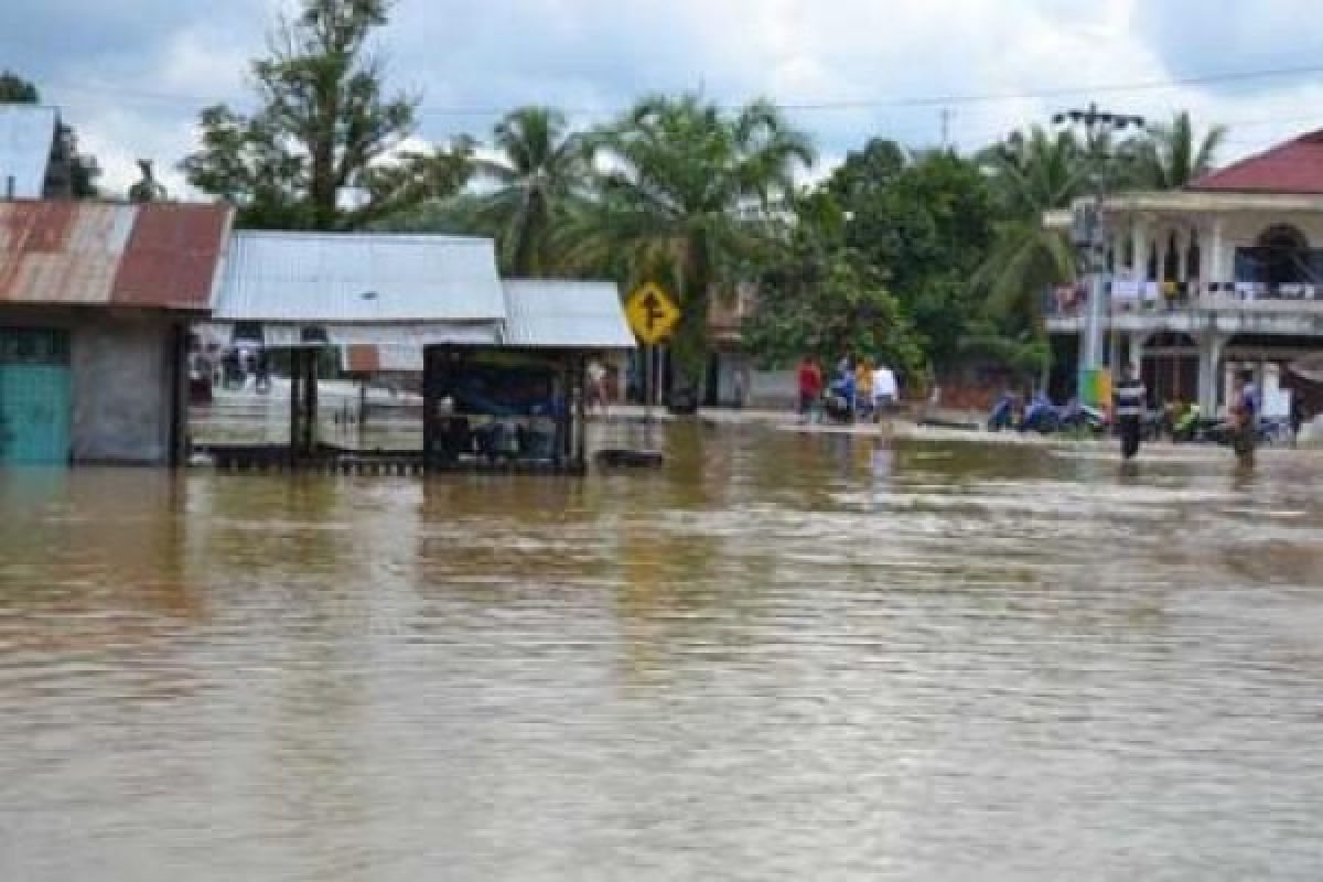 Floods submerge 1.942 hectares of rice fields in Kuantan Singingi, Riau