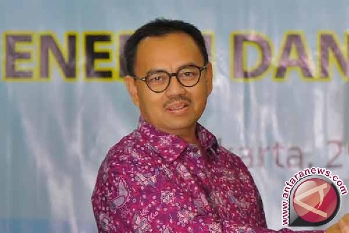 Pemerintah Kaji BUMN Khusus Energi Baru Terbarukan