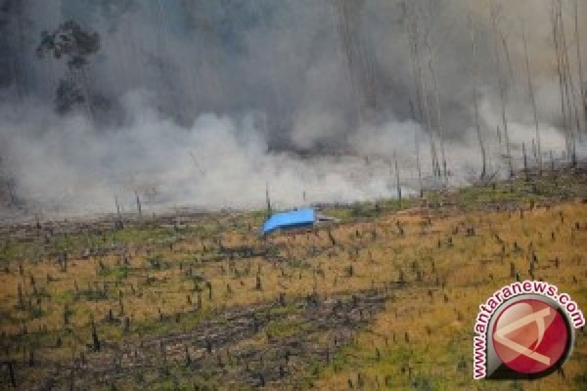 Dua Hal Kunci Utama Pelaksanaan REDD+ Indonesia