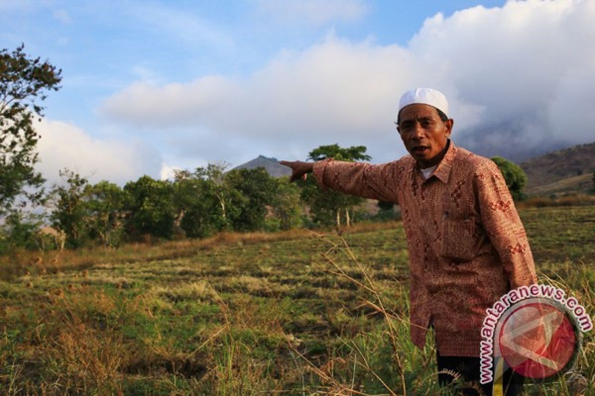 Kegelisahan di kaki Gunung Rinjani