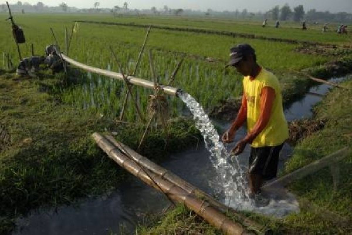 Pakar: Pemeliharaan Infrastruktur Irigasi Perlu Jadi Prioritas