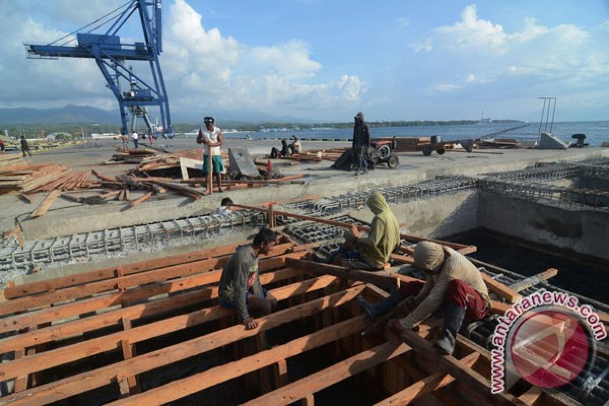 Pelindo, Angkasa Pura diusulkan dibiayai BUMN bukan APBN