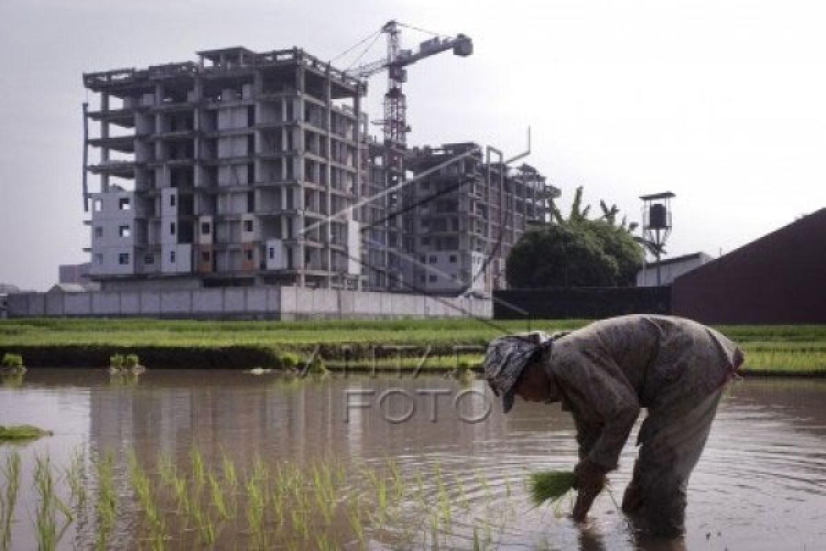 Alih fungsi lahan pertanian Karawang ada di perkotaan