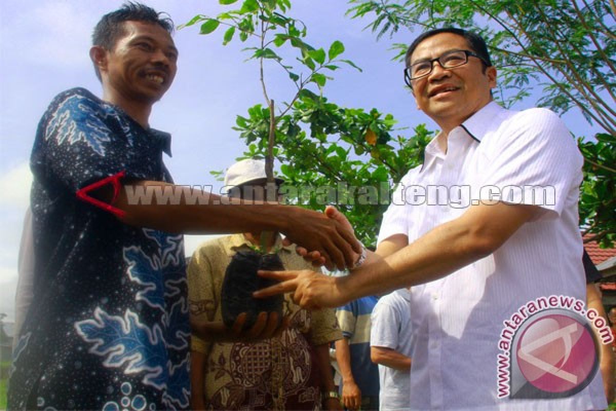 Kadis PU Kalteng Serahkan Pohon Ke Kampung Asri 