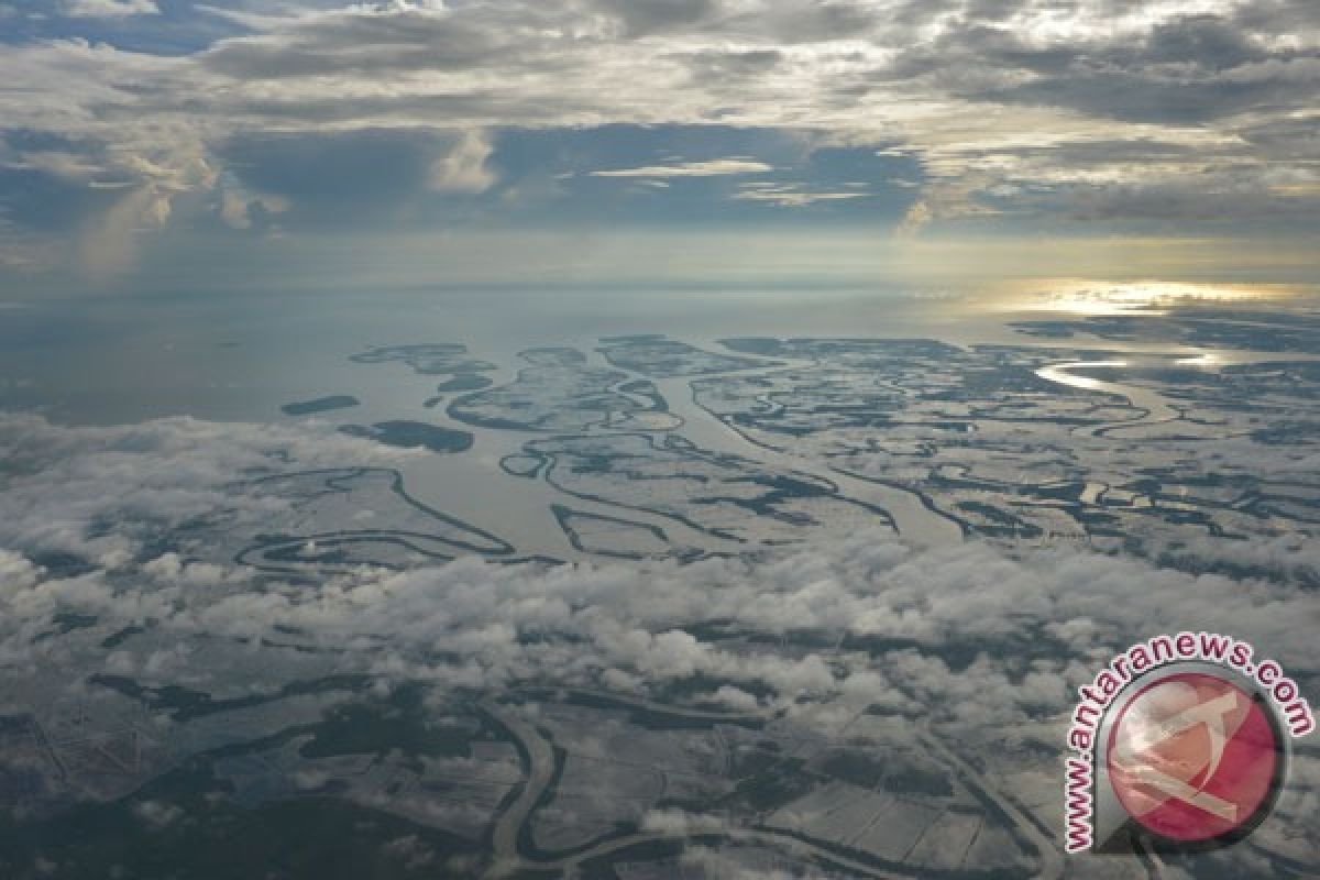 Terpidana penebang mangrove Probolinggo siap ajukan PK