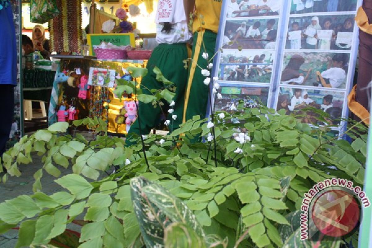`Green Festival` Inspires Environmental Lovers