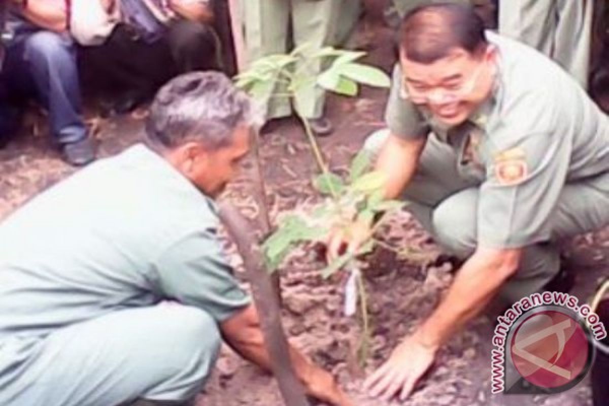 Bupati Landak Serahkan Bibit Karet Untuk Petani Mandor